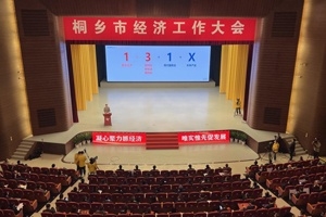 【菊鄉(xiāng)快評】經(jīng)濟工作大會上，桐鄉(xiāng)市委書記為何重點講巨石的電子布？